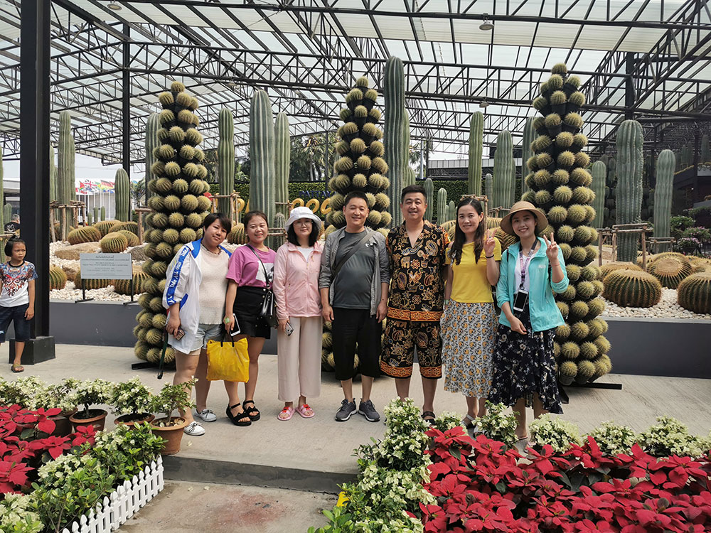 出發(fā)在鴻成，暢爽泰國(guó)游(圖3)